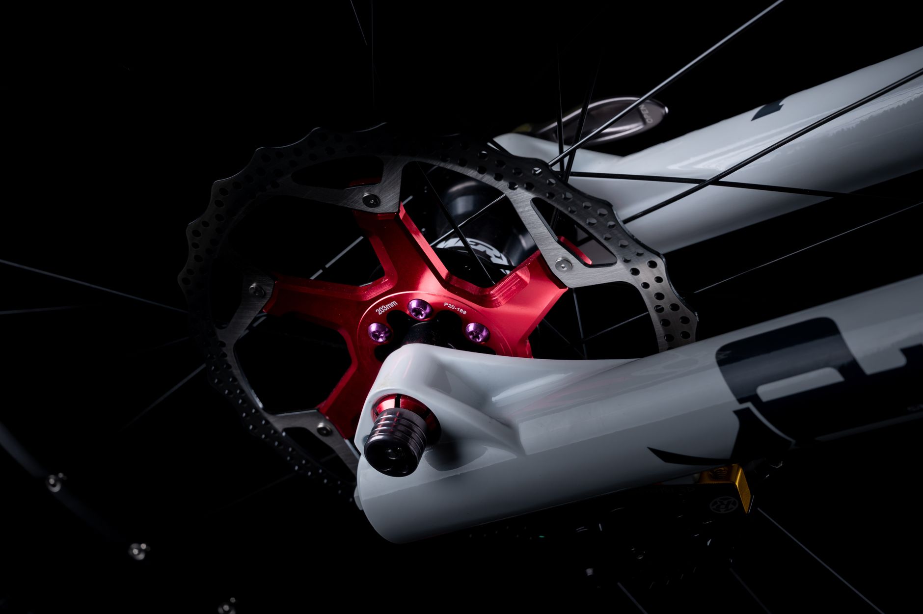 Close-up of a two-piece disc rotor with a red alloy spider marked 203mm, mounted beside a white fork lower leg.