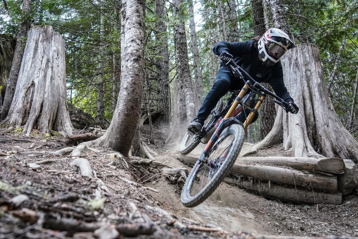 Downhill rider in a full-face helmet carving a dusty berm between old-growth cedar stumps, gold-coloured dual-crown fork stanchions in view.
