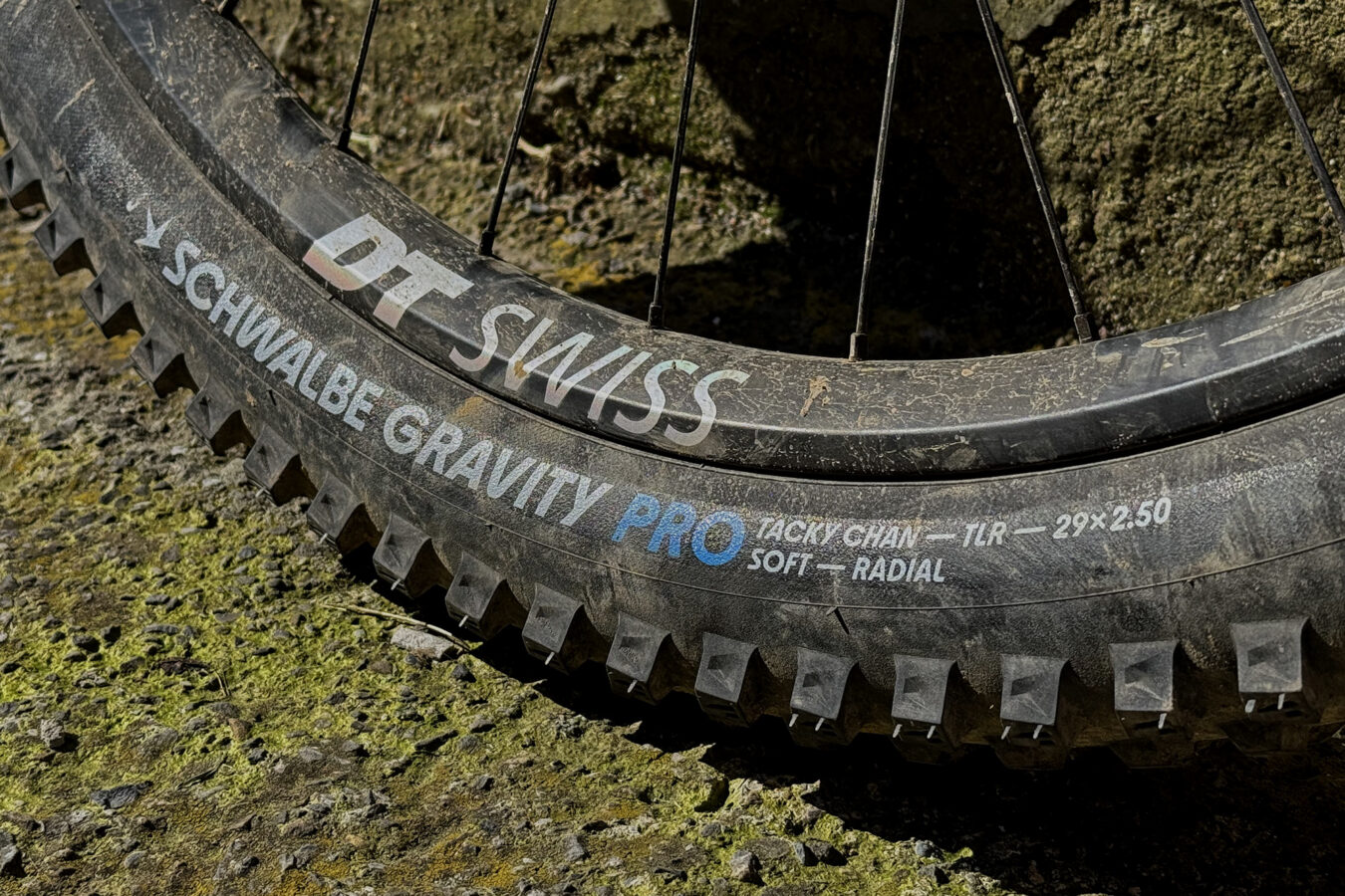 Close-up of a muddy Schwalbe tire sidewall reading SCHWALBE GRAVITY PRO in large type, with TACKY CHAN, TLR, 29x2.50, SOFT and RADIAL in smaller print underneath.